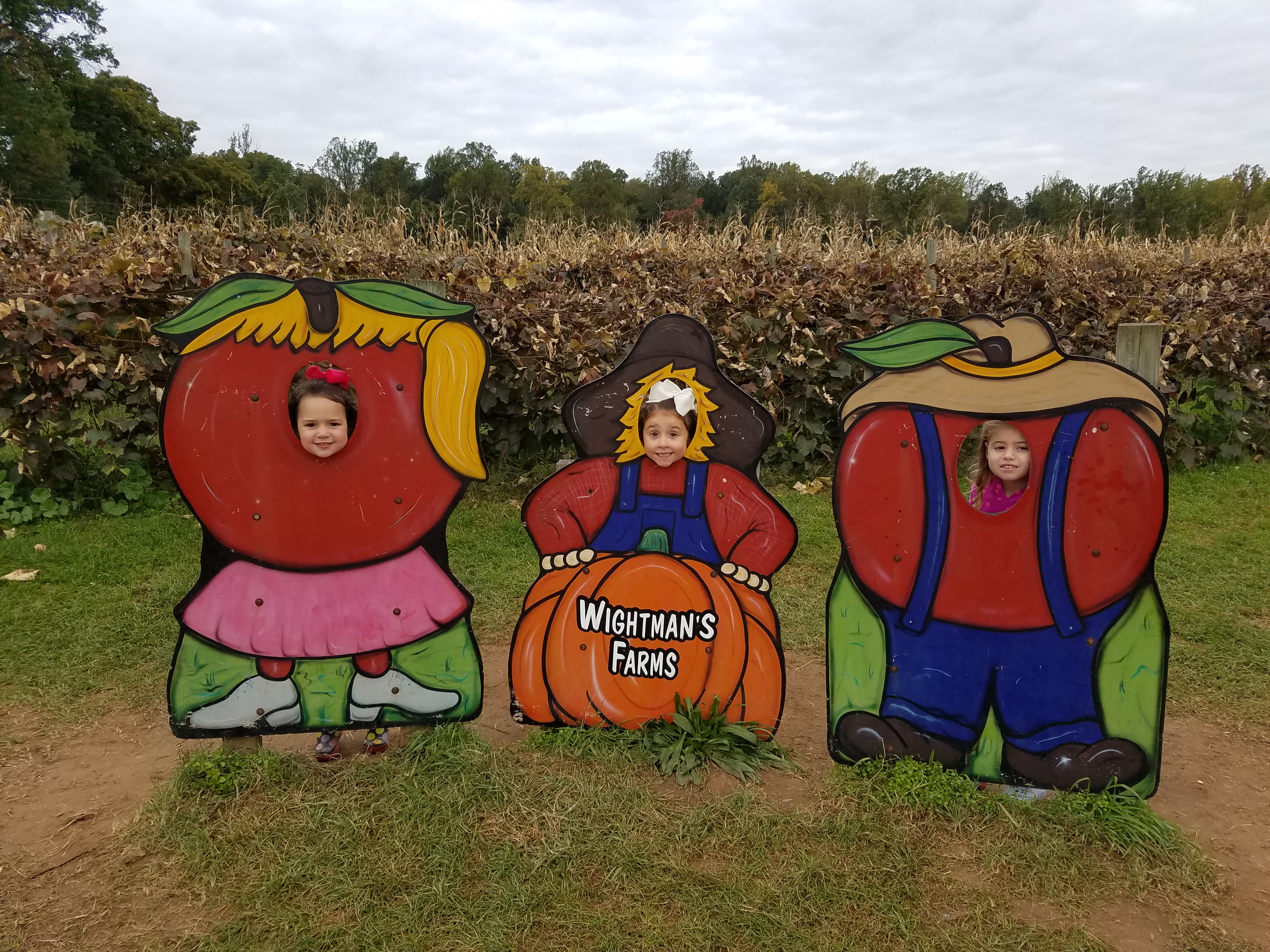 20181022_101756